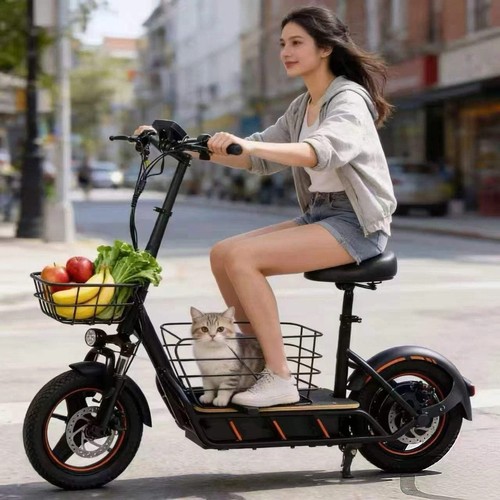 Freeboy h14 500w - freeboy, 36v