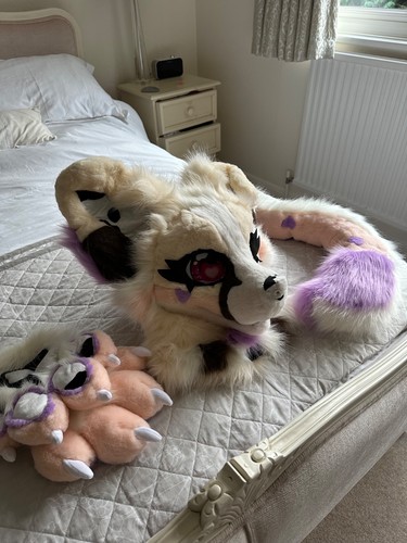 Pomsky fursuit partial - pomsky,