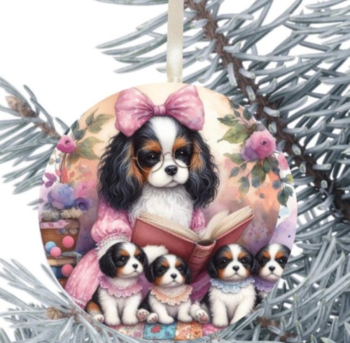 King charles cavalier - king, spaniel