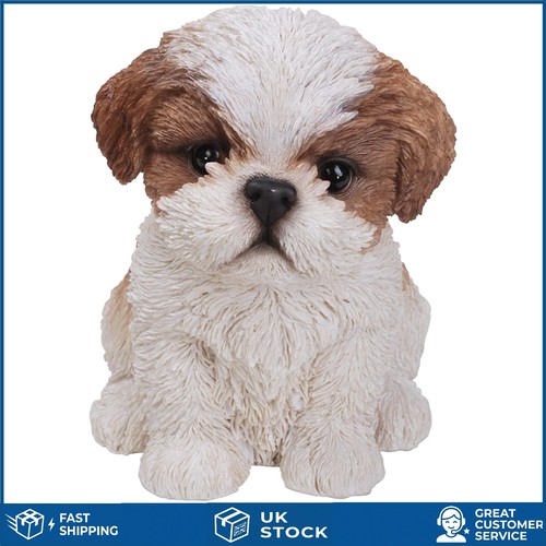 Lifelike shih tzu puppy - lifelike, dog