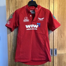 Llanelli Scarlets 2009/2010