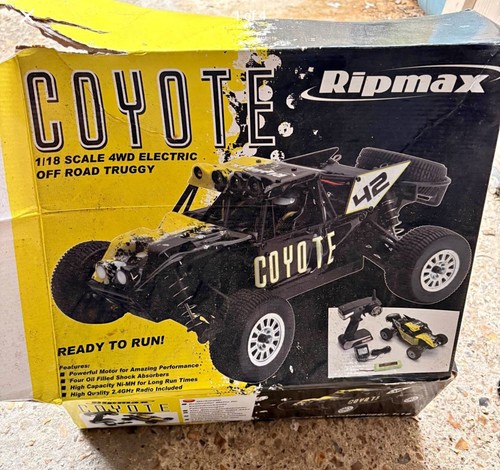 Ripmax coyote dune buggy 18 - buggy, 1/18