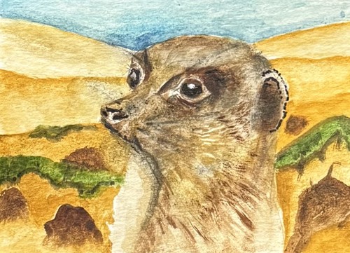 Aceo original watercolour - original,