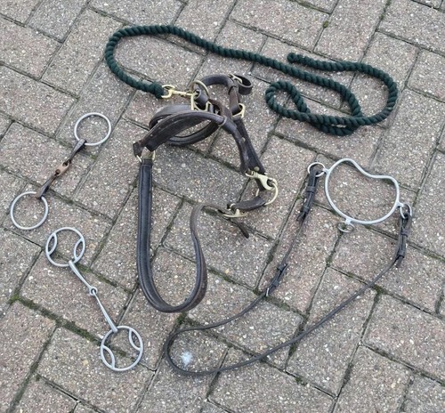 Leather horse rein harness - rein,