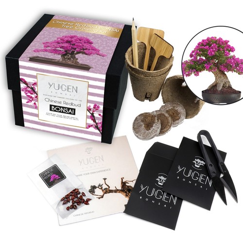 Chinese redbud bonsai growing - chinese,