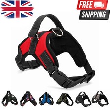 Dog Harness No Pull For Small