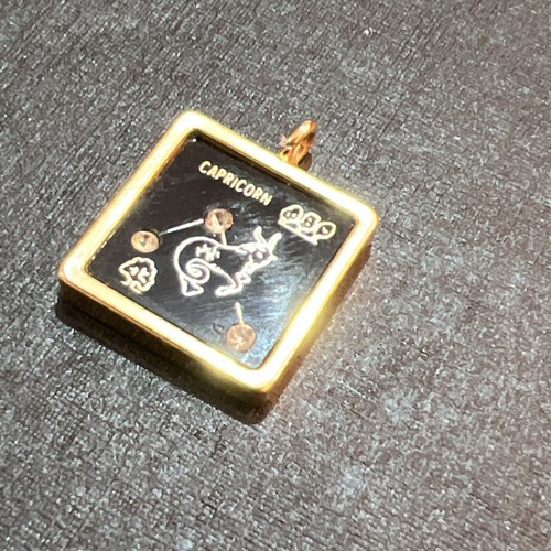 Capricorn star sign pendant - capricorn, on