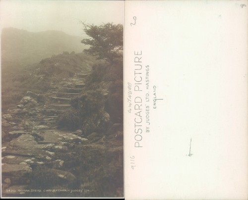 Roman steps cwm bychan - steps,