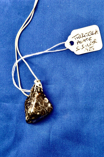 Turritella agate necklace - turritella, on