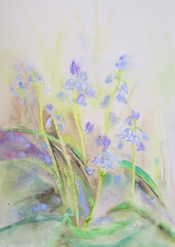 Spring woodland original - woodland:,