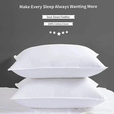 Adam Home Duck Feather Pillows
