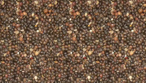 20kg tares pigeon food - 20kg,