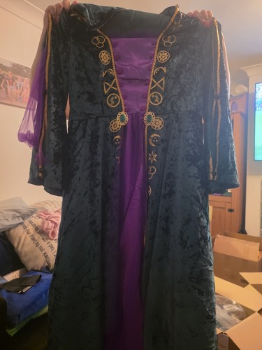 Medieval dress winifred - medieval,
