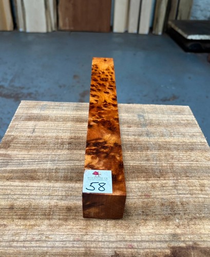 Thuya burr x - 1.5,