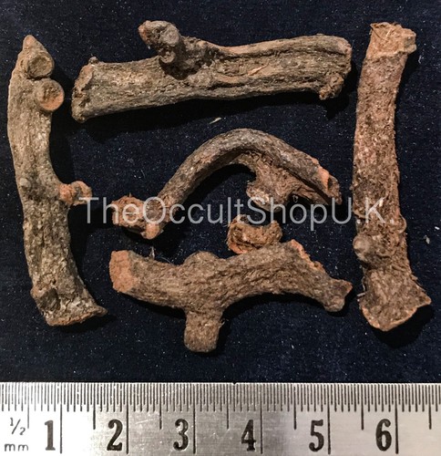 Paras root smudge - root, ghost