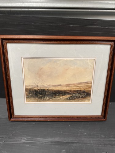 Watercolour painting framed - painting,