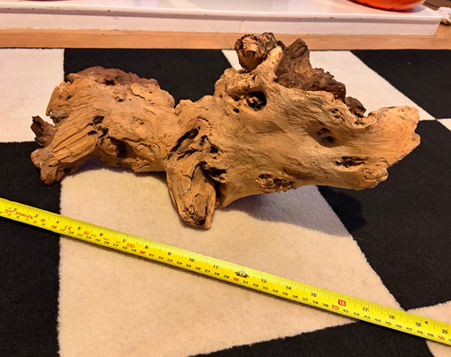 Natural driftwood wood - natural,