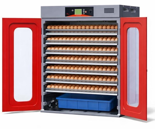 1000 egg commercial cabinet - 1000,