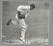 HANDSIGNED CRICKET PICTURE -