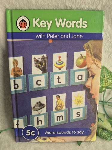 Ladybird key words with - words,