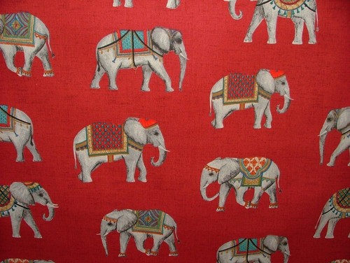Jaipur indian elephant - indian, rosso