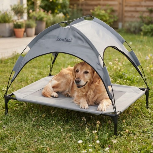 Brand new zoofari - brand, dog