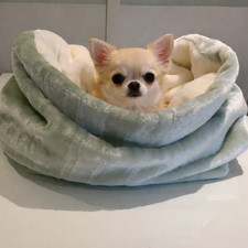 Dog cat bed, chihuahua snuggle
