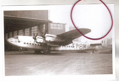 Repro photo - repro,