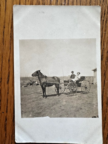 Horse drawn carriage buggy - carriage,
