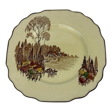 Vintage Myott & Sons Homeland