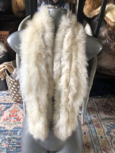 New design real - real, fox
