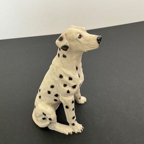 Castagna italy dalmatian dog - italy,