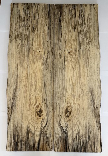 Spalted ash guitar laminate - guitar,