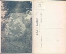 grave with flowers Floral Gardens Architecture