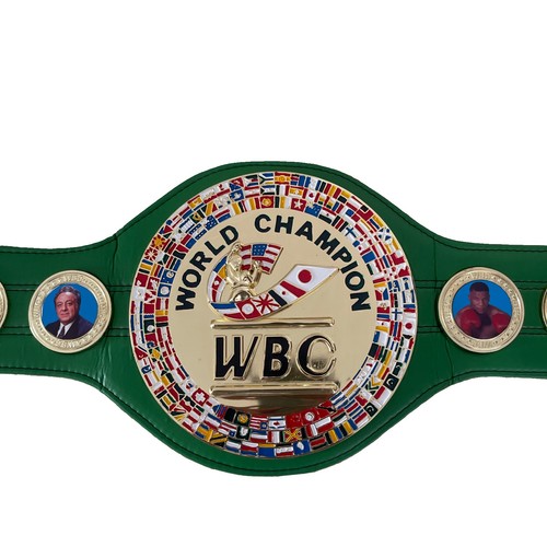 Wbc style boxing championship - wbc,