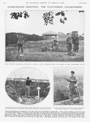 The clay pigeon - pigeon, shooting