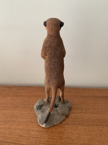 Leonardo out africa meerkat - africa,
