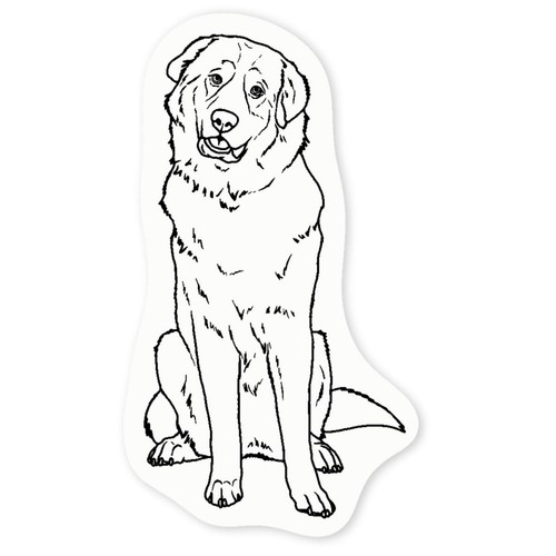 Pyrenean mountain dog clear - 'pyrenean,