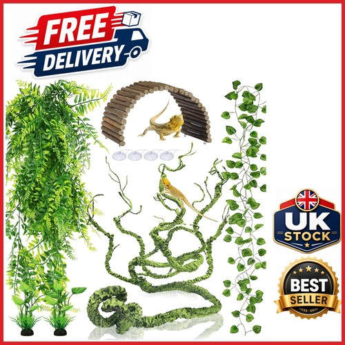 Reptile habitat accessories - reptile,