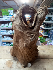 Large Mangrove 30-57cm Root