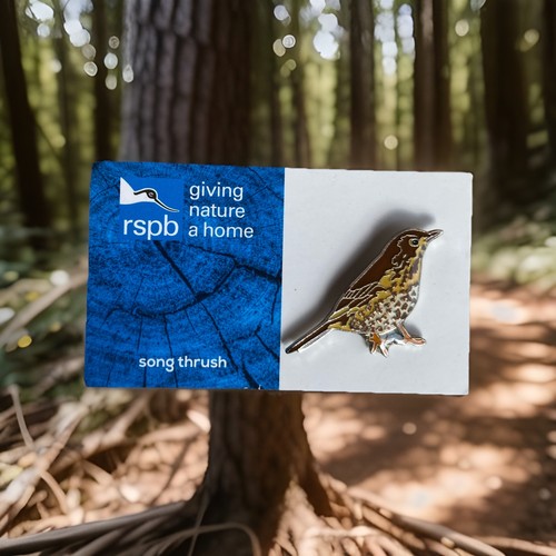 Rspb pin badge song - badge, thrush