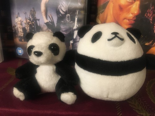 Panda teddy and cute - and,