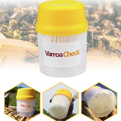 Beekeeping beehive varroa - beekeeping,