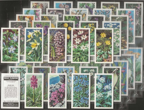 Brooke bond full set - brooke, set-