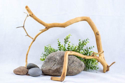 Driftwood manzanita branch - 18",