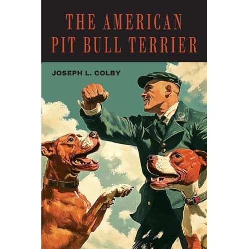 American pit bull terrier - american,
