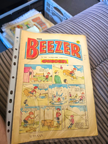 The beezer ginger - the, strip