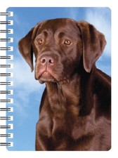 Chocolate Labrador 3D Notebook, great birthday gift