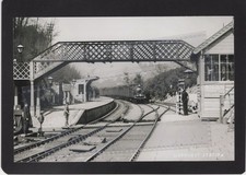 Wadhurst Railway Station, Sussex, RP Modern Reproduction Postcard :182