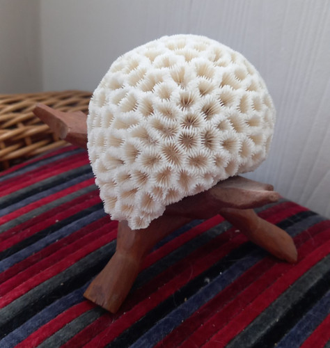Vintage natural white brain - natural,